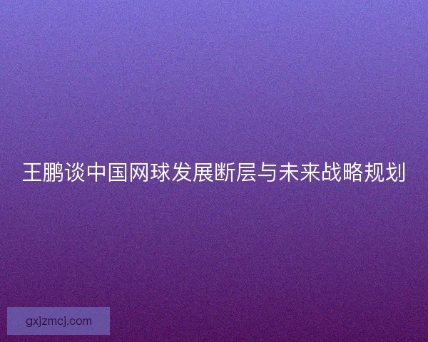 王鹏谈中国网球发展断层与未来战略规划