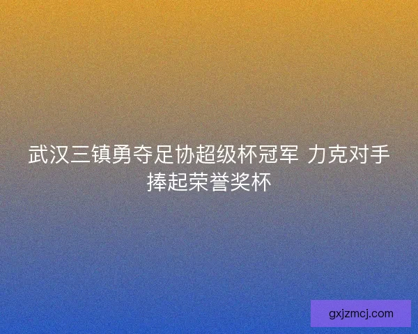 武汉三镇勇夺足协超级杯冠军 力克对手捧起荣誉奖杯