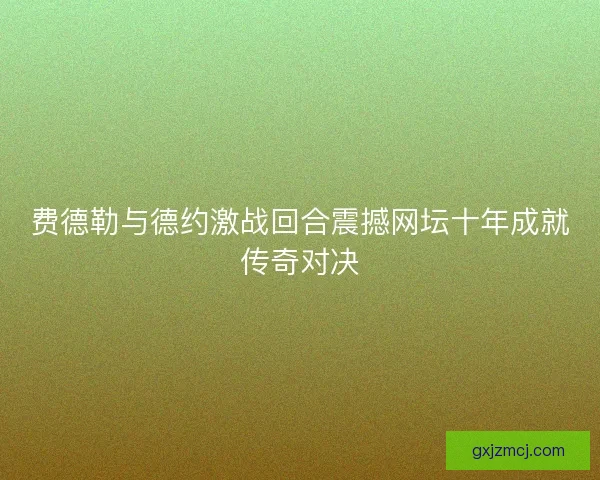 费德勒与德约激战回合震撼网坛十年成就传奇对决 费德勒与德约激战回合震撼网坛十年成就传奇对决