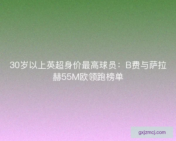 30岁以上英超身价最高球员:B费与萨拉赫55M欧领跑榜单 30岁以上英超身价最高球员:B费与萨拉赫55M欧领跑榜单